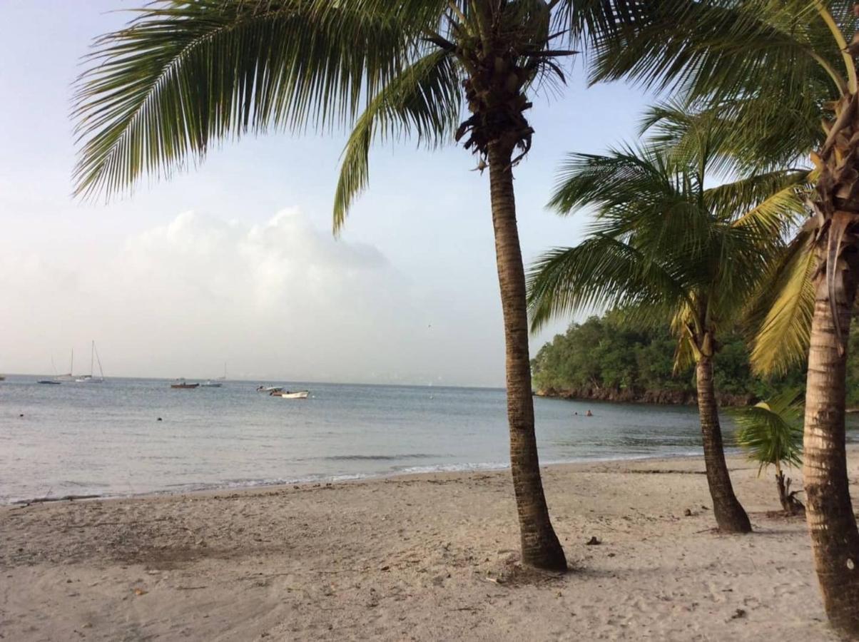 Chambre Chez L Habitant Sur La Plage Les Pieds Dans L Eau, Wifi Quartiers Anse a l'Ane Kültér fotó